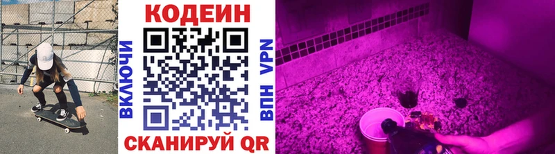 Codein Purple Drank  OMG как войти  Тында 