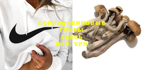 прущие крисы Арсеньев