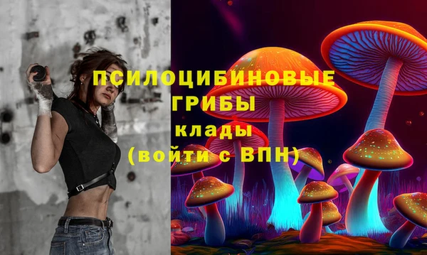 гидра Армянск
