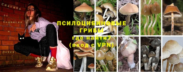 прущие крисы Арсеньев